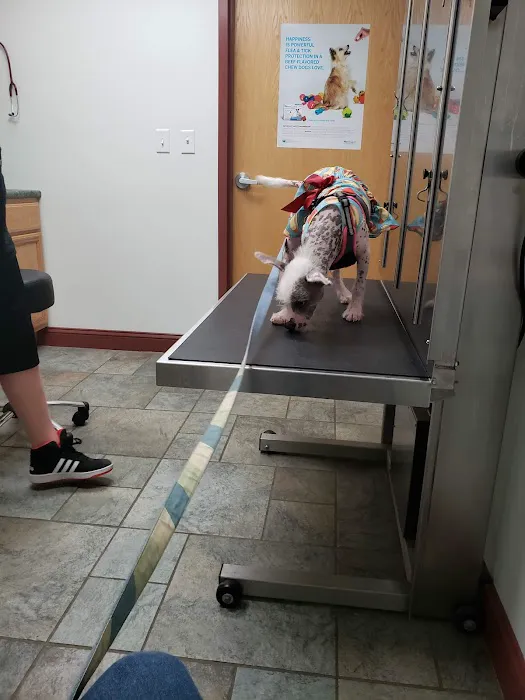 Tower Hill Animal Hospital Picture 10