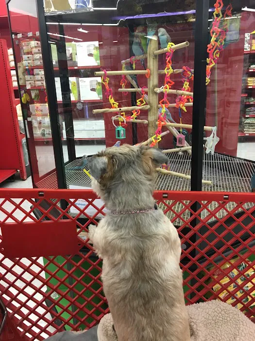Petco Picture 5