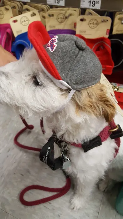 Petco Picture 9