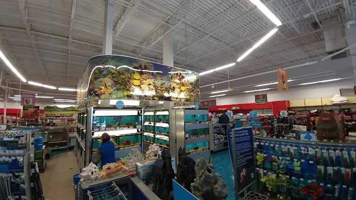 Petco Picture 4