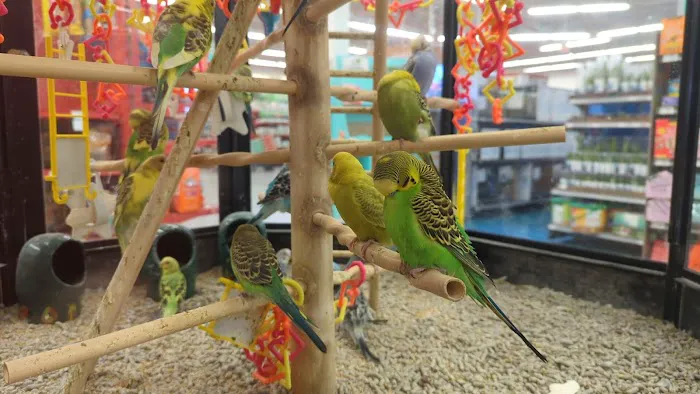 Petco Picture 7