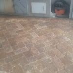 Sandra's Garden Aquarium Maintanence