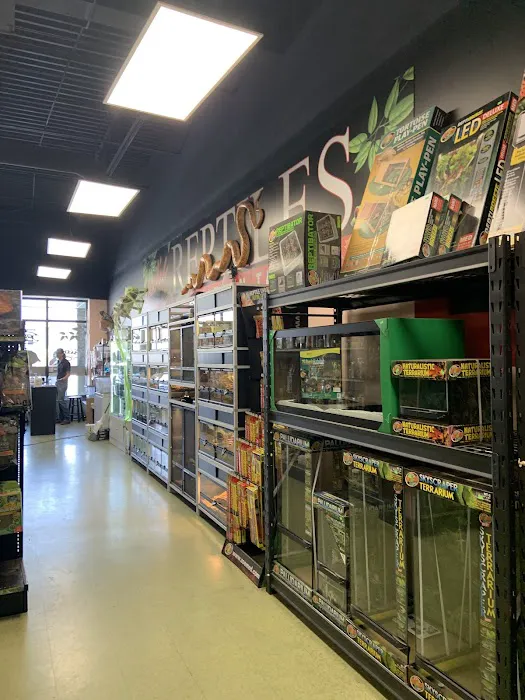 Scales Exotic Reptiles Pet Shop Picture 6