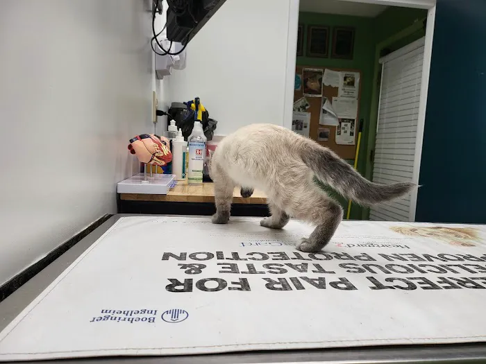 Eastwood Animal Clinic Picture 2