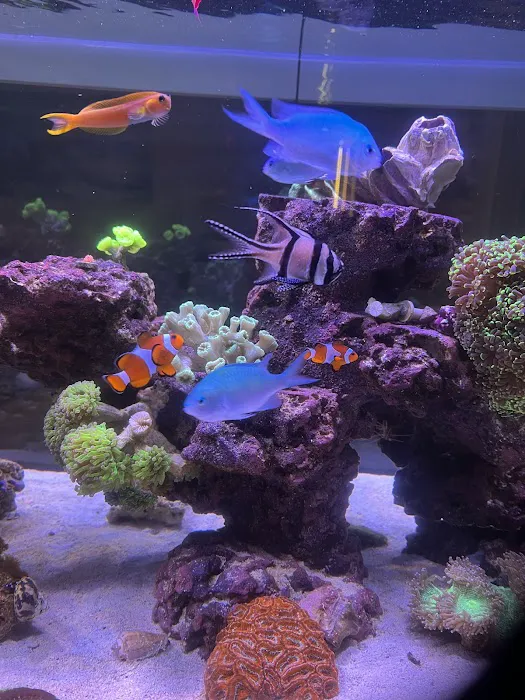 The Fish Tank Picture 5