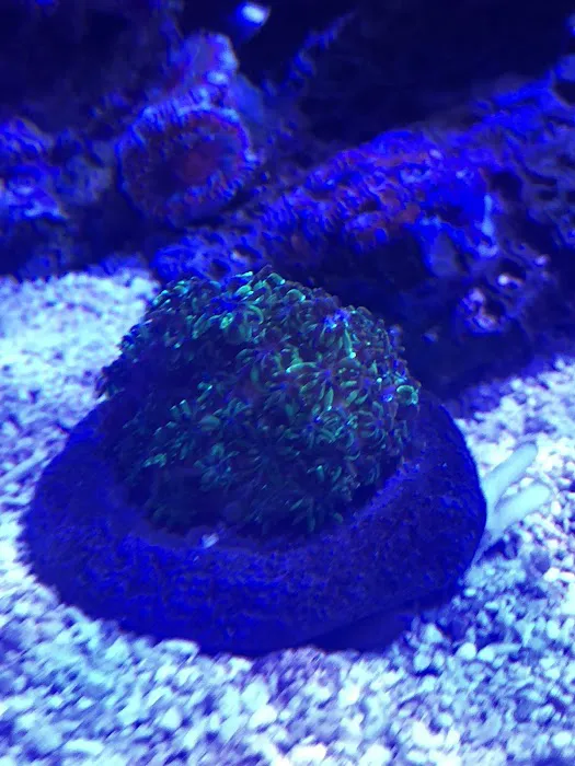 The Fish Tank Picture 4