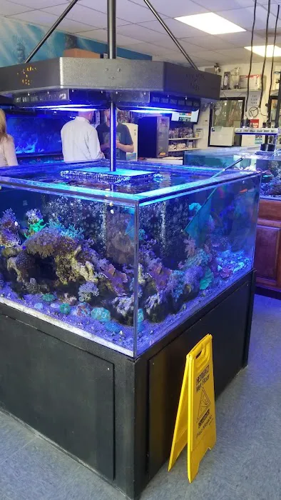 The Fish Tank Picture 3