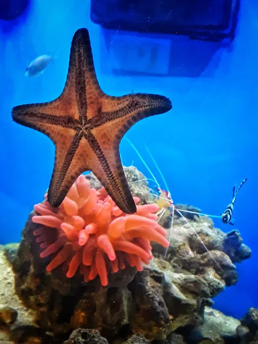The Fish Tank Picture 9