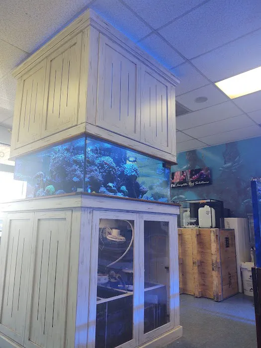The Fish Tank Picture 8