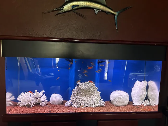 Live Fish Direct Picture 5