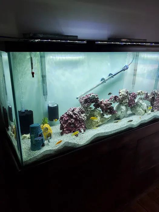 Live Fish Direct Picture 7
