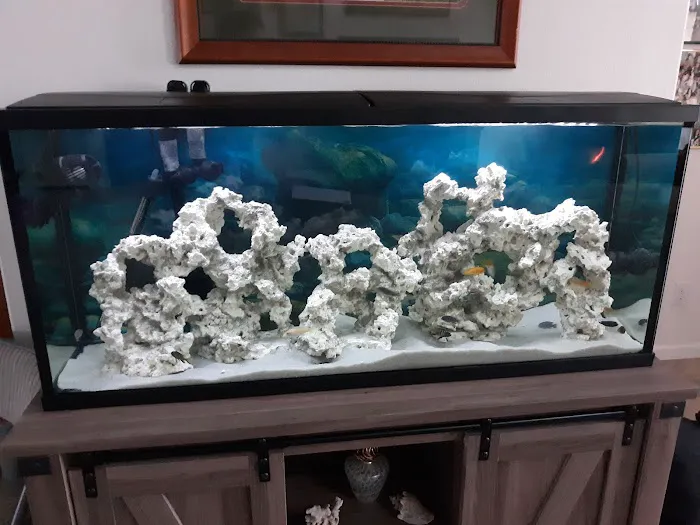Live Fish Direct Picture 10