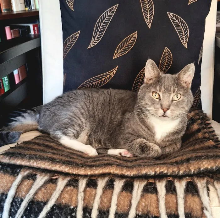 All Points Animal Care Picture 1