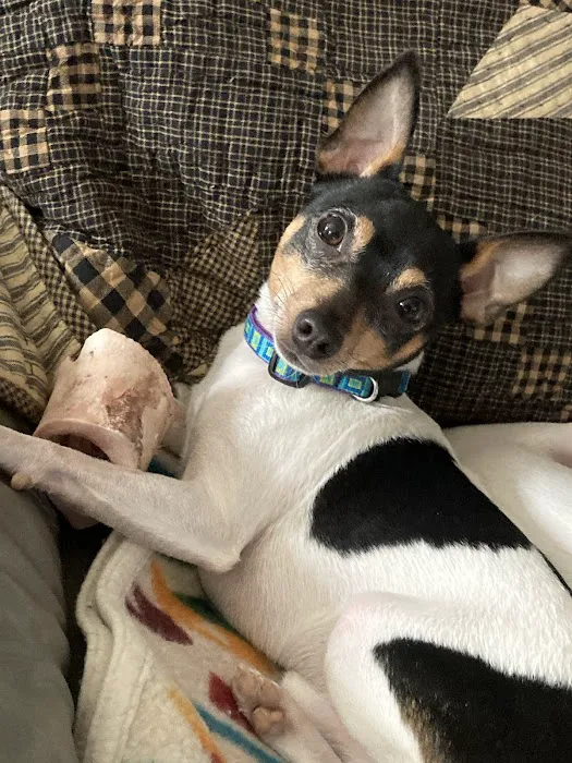 All Points Animal Care Picture 3