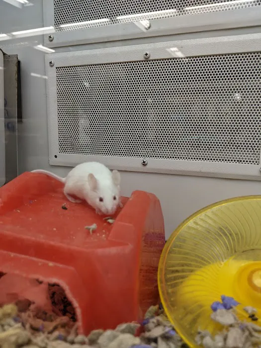 Petco Picture 2