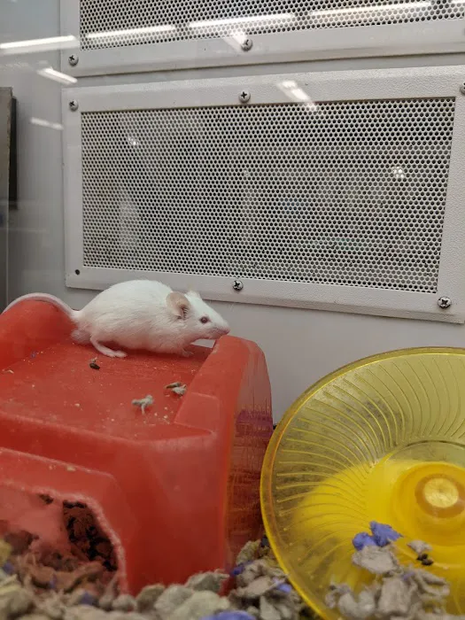 Petco Picture 9