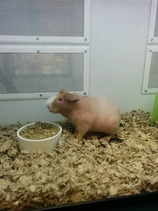 Petco Picture 6