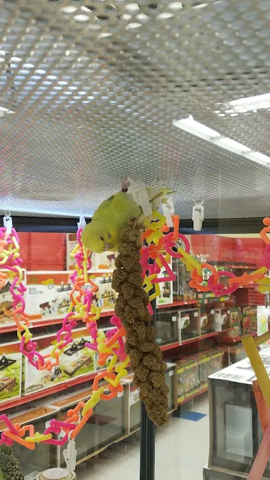 Petco Picture 10
