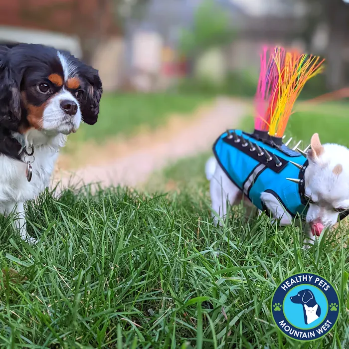 Healthy Pets Mountain West Picture 6