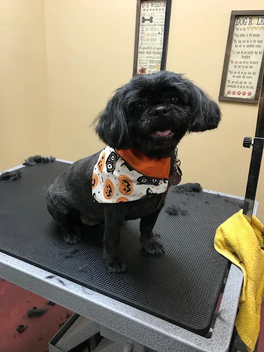 Healthy Pets Mountain West Picture 5
