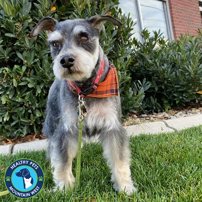 Healthy Pets Mountain West Picture 10