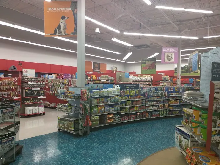 Petco Picture 5