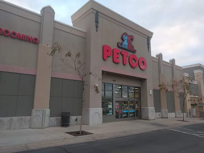 Petco Picture 10
