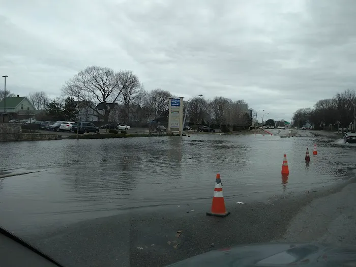 Neponset Pet Center & Animal Hospital Picture 8