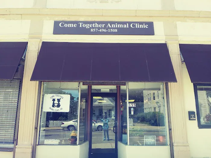 Come Together Animal Clinic Picture 2