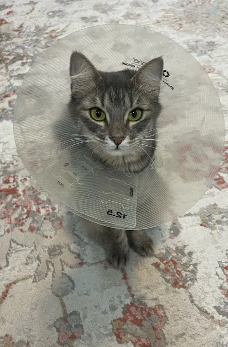 Come Together Animal Clinic Picture 1