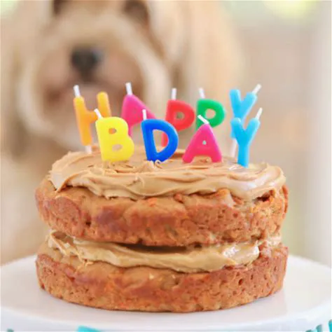 Denise's Doggone Treats Picture 6
