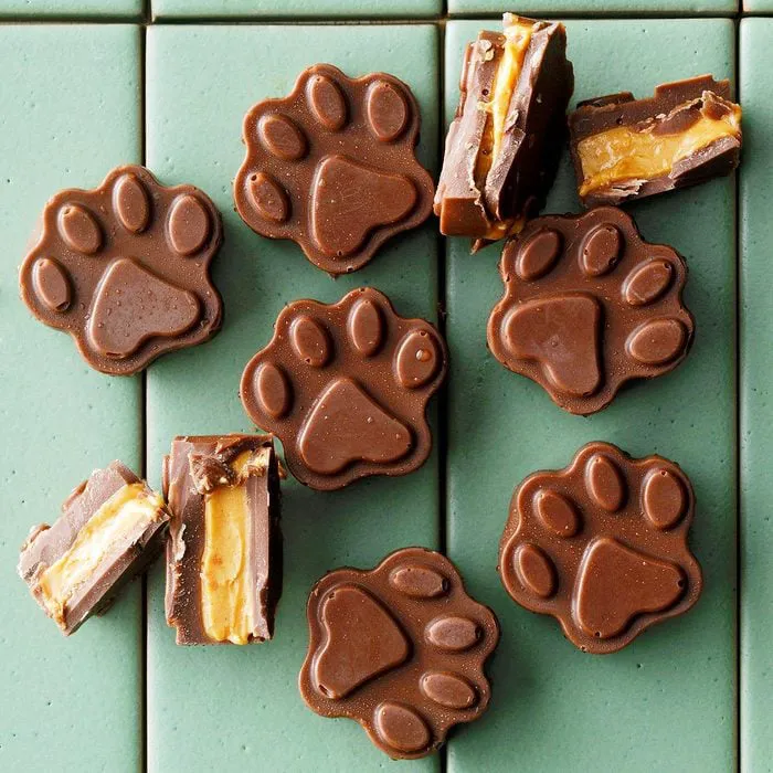 Denise's Doggone Treats Picture 8