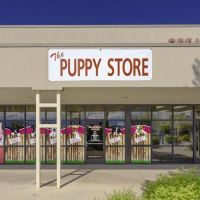 The Puppy Store Salt Lake City ico