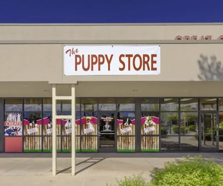 The Puppy Store Salt Lake City