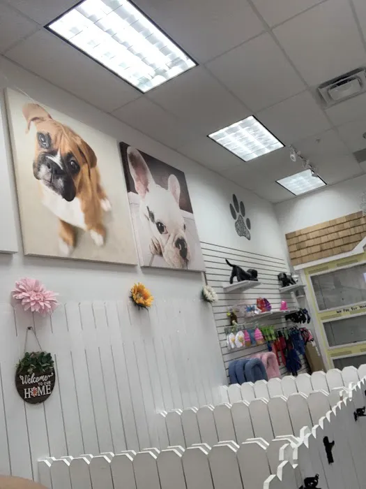 The Puppy Store Salt Lake City Picture 4