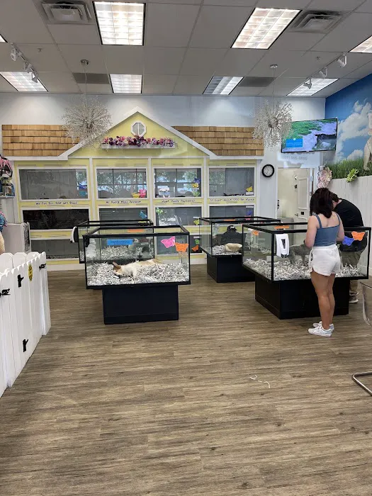 The Puppy Store Salt Lake City Picture 2