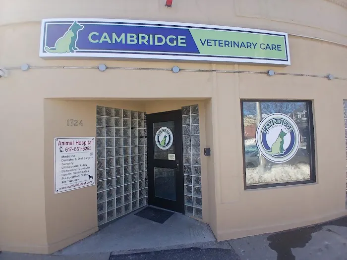 Cambridge Veterinary Care Picture 4