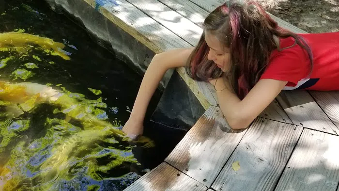 Utah Koi Picture 10