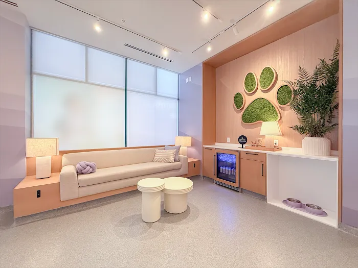 Tandem Veterinary Clinic - Somerville Picture 8