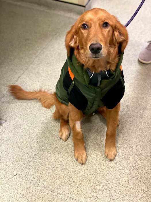 Back Bay Veterinary Clinic Picture 6