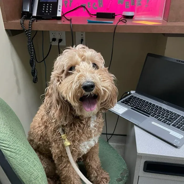 Back Bay Veterinary Clinic Picture 5