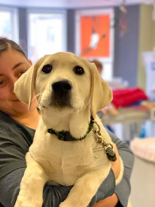 Back Bay Veterinary Clinic Picture 7