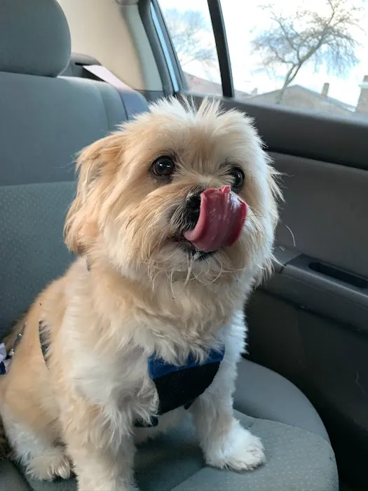 Hello Ralphie Online Veterinarian Picture 2