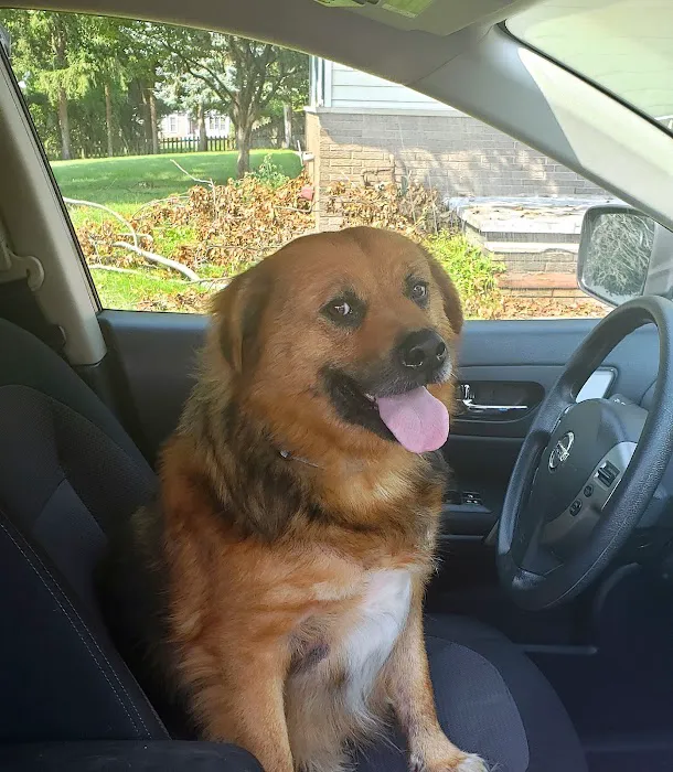Hello Ralphie Online Veterinarian Picture 9