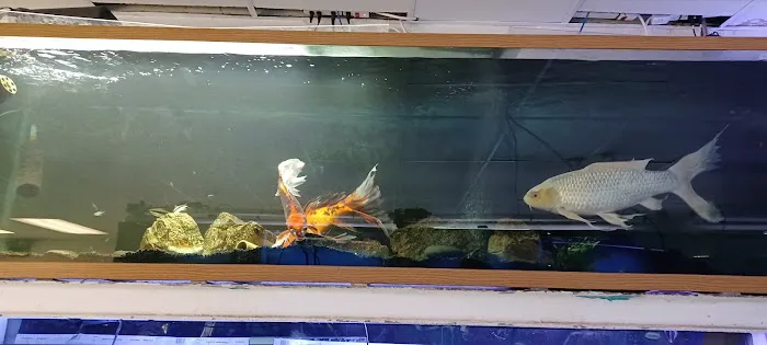 Fish 4 U Picture 5