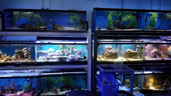 Fish 4 U Picture 4