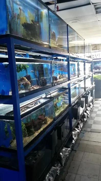 Fish 4 U Picture 1