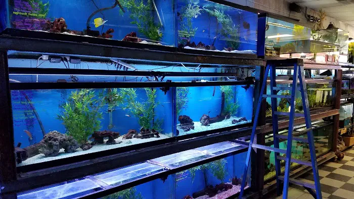 Fish 4 U Picture 7