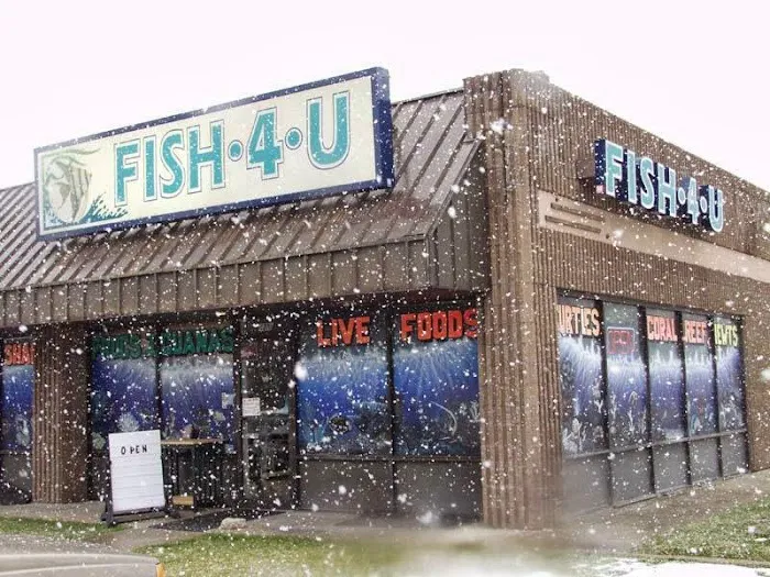 Fish 4 U Picture 10