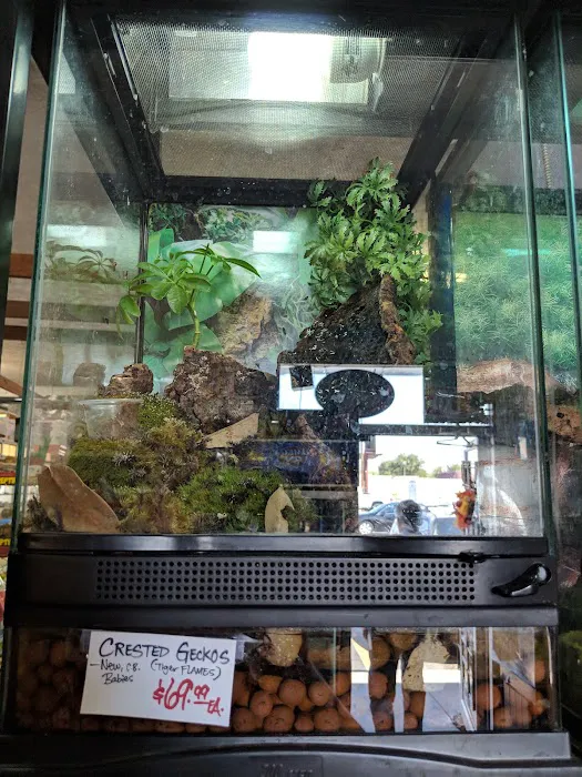 Mark's Ark Inc Picture 9